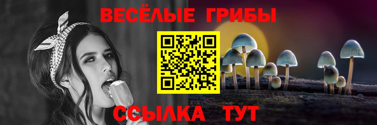 Псилоцибиновые грибы прущие грибы  Вход с VPN  Псилоцибиновые грибы мухоморы  Людиново 